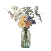 Цветы для интерьера